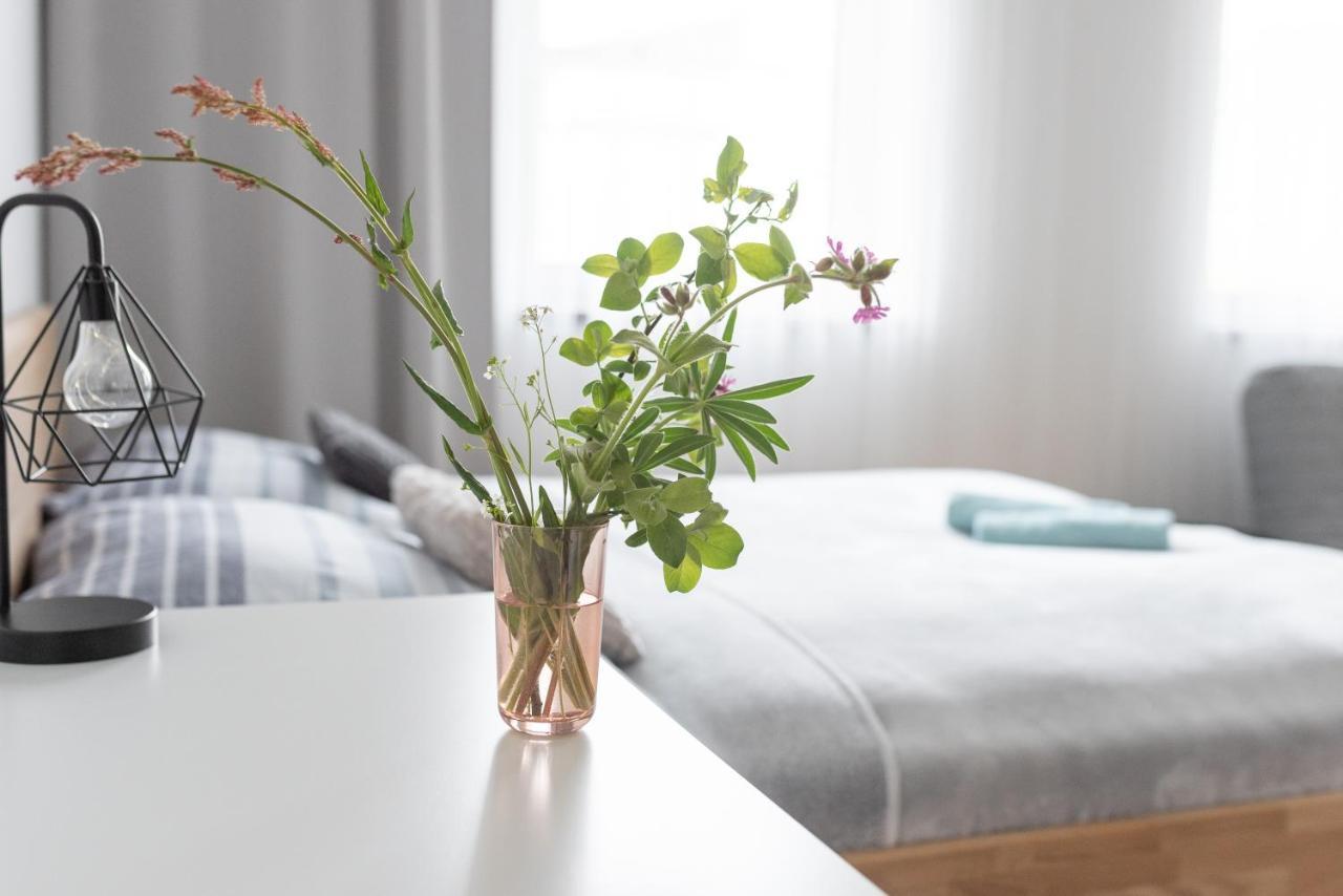 Destne Apartmany Дештне-в-Орлицьких-Горах Екстер'єр фото